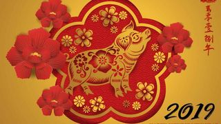 Am intrat &icirc;n anul Mistrețului de Păm&acirc;nt! Ce &icirc;nseamnă asta &icirc;n mitologia chineză. Vezi cum &icirc;ți influențează viața!