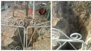 Șacalii au început să sape morții din cimitir, de foame! "Parcă suntem în filmele de groază"