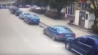 VIDEO. Două persoane au fost mușcate de un porc mistreț &icirc;n plină stradă