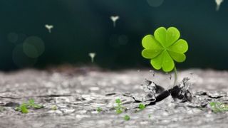 Zodia cu noroc uriaș. Vin banii fără să facă nimic, parcă ii cad din cer