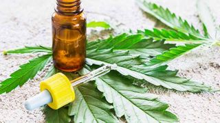 Utilizarea cannabisului in scopuri medicale este de acum legala si in tarile membre ale Uniunii Europene!
