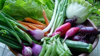 Spanac, ceapa, sau ridichi. Sunt doar cateva dintre legumele romanesti de sezon care au aparut peste tot prin piete!