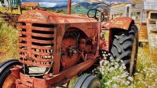 O comuna din Dolj atrage agricultorii ca un magnet. Ce o face atat de specială?