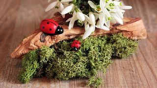 Superstitii de Martisor. Iata ce sa faci ca sa ai noroc tot anul