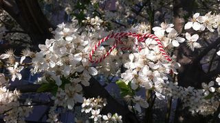 HOROSCOP chinezesc pentru săptăm&acirc;na 25 februarie - 3 martie. Mesajul de MĂRȚIȘOR din partea astrelor