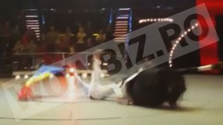Imagini terifiante! Actorul Bogdan Stanoevici se prăbuseste cu calul în arena Circului! Spectatorii au țipat îngroziți! Reporterii WOWbiz.ro sunt primii care au intrat în posesia imaginilor șocante cu fostul ministru
