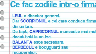 Ce fac zodiile într-o firmă. Cine conduce, de fapt, din umbră