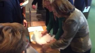 VIDEO.  Maria Grapini a &icirc;ncercat să fraudeze votul pentru Laura Codruța Kovesi din Comisia Libe