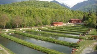 Păstrăvăriile de la munte, afaceri profitabile