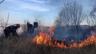 Delta Dunarii! Hectare intregi au fost cuprinse de flacari din pricina localnicilor care au dat foc vegetatiei uscate