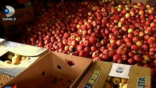 Drama gospodarilor din Rom&acirc;nia! Recolta de care asta toamnă eram m&acirc;ndri putrezește &icirc;n beciuri