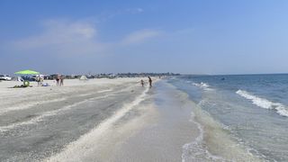 Sectoare de plajă din Năvodari, scoase la licitație