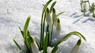 Vremea întoarce foaia! Un val de aer polar va ajunge în România de Ziua Femeii