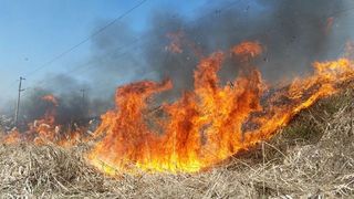 Incendiu de vegetaţie în Prahova. S-a extins la o casă şi câteva anexe gospodăreşti