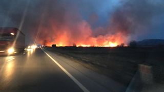 Incendiu de vegetație la ieșirea din Făgăraș! Flăcări de 5 metri. Traficul pe DN1 e blocat