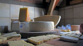 Doi soti din Tecuci au pus pe roate o afacere cu lactate artizanale! Totul se face numai din produse 100% naturale!