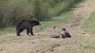 Un bărbat din judeţul Harghita a murit după ce a fost atacat de un urs, &icirc;ntr-o pădure