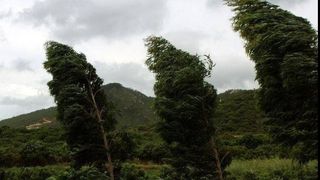 Cod galben de v&acirc;nt puternic &icirc;n 9 județe