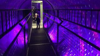 S-a deschis Muzeul Simturilor la Constanta! Aici vei descoperi o lume de vis!