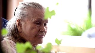 S-a aflat cum a murit Zina Dumitrescu! Așa și-a trăit ultimele clipe de viață