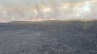 Incendiu puternic în Delta Dunării