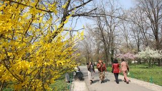 Cum va fi vremea în weekend. Ce au anunțat specialiștii ANM