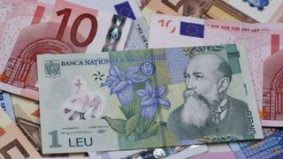 Trecem la euro. Este oficial. De c&acirc;nd se face schimbarea