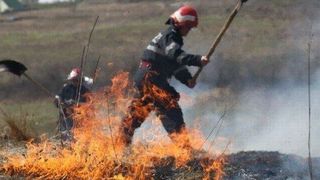 Doi oameni au murit &icirc;n incendiu de vegetație din Mehedinți