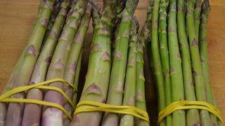 VIDEO | Sparanghelul a prins rădăcini și în pământ românesc