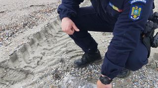 Peste 150 de kilograme de droguri, găsite în ultimele zile pe litoralul Mării Negre