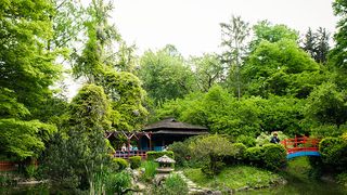 VIDEO | Cauti locuri de relaxare? Gradina Botanica din Cluj e locul ideal!