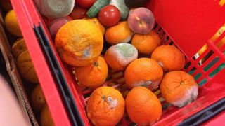 Anchetă pe piața alimentară. Comercianții vând produse putrezite