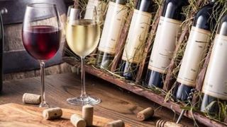 România stă prost pe piața vinului. Ocupăm locul 13 în lume la producție