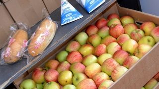 Zeci de tone de legume și fructe care ajungeau în țara noastră fără igiena corespunzătoare sau documente de la DSV au fost distruse