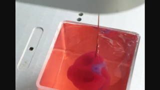 Oamenii de ştiinţă israelieni au realizat prima inimă vascularizată imprimată 3D