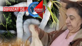 VIDEO| O industrie in care pe vremuri excelam - cea a viermilor de matase - se zbate acum sa supravietuiasca