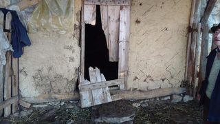 Buzău: Un urs a atacat o gospodărie şi a ucis mai multe oi şi miei, deşi animalul bănuit că intra în curţile oamenilor a fost împuşcat joi