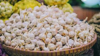 Mai mulți bani de la stat pentru producătorii de usturoi români