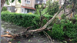 Ploile și vijeliile au făcut prăpad în țară