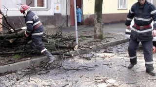 Cod galben de v&acirc;nt puternic &icirc;n zona de munte a judeţelor Prahova, Argeş şi D&acirc;mboviţa; rafalele vor depăşi 90 de kilometri la oră