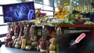 VIDEO. Moartea ascunsa in fructe