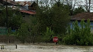 VIDEO | Ploile si viiturile au facut prapad in mai multe judete