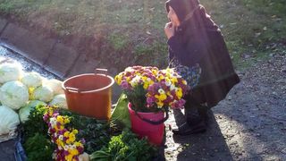 O bătrână care vindea flori, spulberată de o mașină