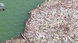 VIDEO | Rauri de gunoaie dupa viitura. Ce amenzi poate da Garda de Mediu