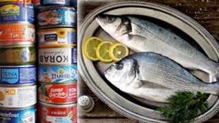 VIDEO. Peste contaminat cu metale grele, adus in Romania