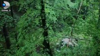 VIDEO | Marturii de la locul tragediei aviatice din judetul Buzau: „Am vazut avionul picat, doi oameni morti”