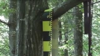 Un t&acirc;năr s-a sp&acirc;nzurat &icirc;n Pădurea Delea! La aflarea veștii, mama lui s-a aruncat de pe o pasarelă