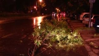 VIDEO | Vijelie puternica la Timisoara. Cod gaben de vreme rea in 27 de judete