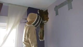 Au auzit un sunet ciudat în casă. Ce au descoperit i-a șocat