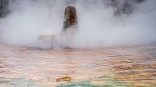 Apele sulfuroase de la Brădet, o adevărată minune 